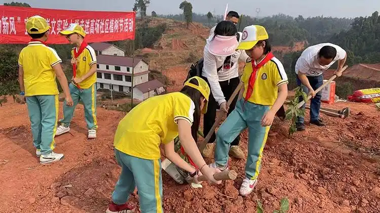 宜宾叙州植树节植下摇钱树