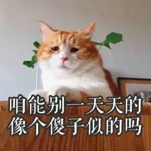 咱能别一天天的像个傻子似的吗