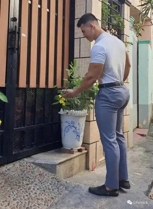 而更重要的是 腿臀肌肉群对于全身训练和荷尔蒙水平 可以说起着至关