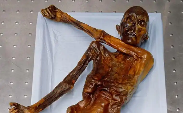 木乃伊的图片材料(世界最神秘的六具埃及木乃伊) – 蓝月追女孩蜜语