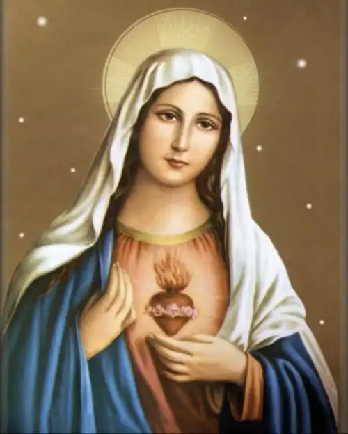 【转载】圣母的历史(组图)