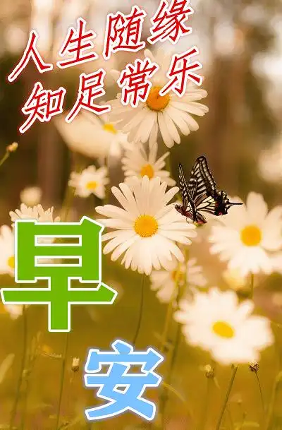 最新温馨的早上好特漂亮的动态祝福图片 周六春天暖心早安问候语简短