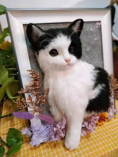 羊毛毡仿真宠物相框——黑白猫咪