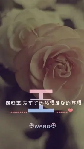 百家姓王姓锁屏