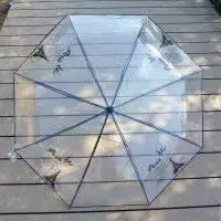 白色透明雨伞唯美图片_微信头像图片大全