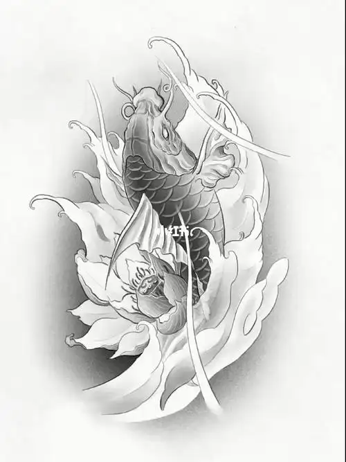 鲤鱼纹身手稿