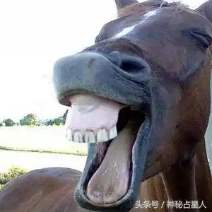 12星座遇ufo后秒变表情帝,哈哈!笑死不偿命!