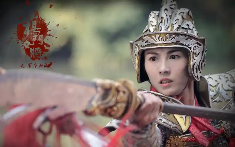 张柏芝《杨门女将之军令如山》