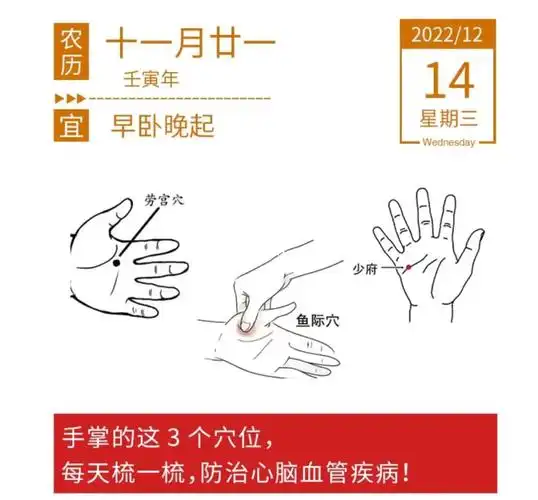 人体最重要的十二条正经中的手三阴经和手三阳经共6条循行时过手部,与