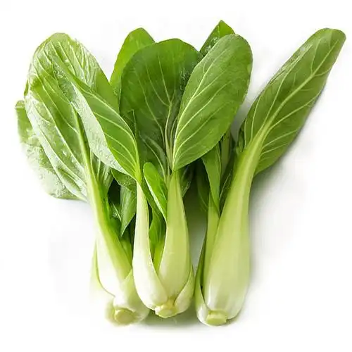 有机汇 有机小松菜新鲜蔬菜小青菜绿叶菜鸡毛菜有机蔬菜辅食250g