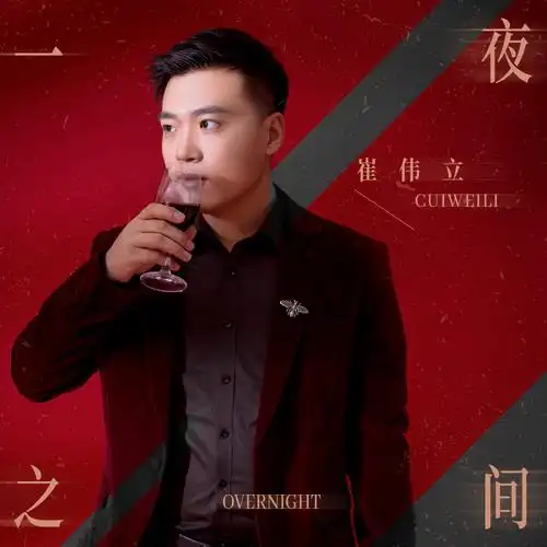 崔伟立:《一夜之间》【最新伤感dj版 同步】