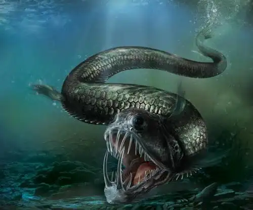 海洋深处神秘且凶猛的捕食者,隐藏在黑暗中的怪物