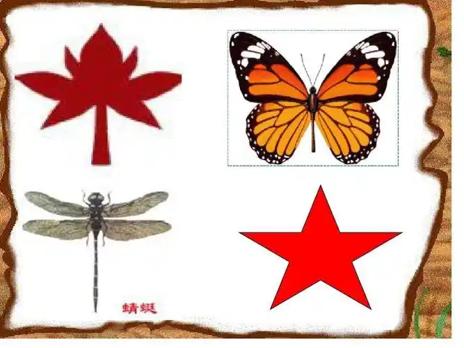 生活字中的轴对称