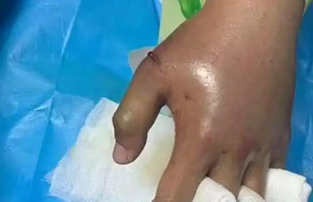 孩子对小动物都有莫名的亲近感,如果家里有个宠物,那孩子自然很乐意被