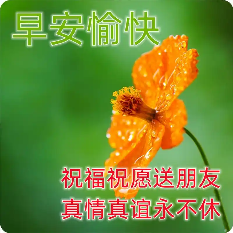 夏天早上好问候祝福语图片 最新早安图片 1.