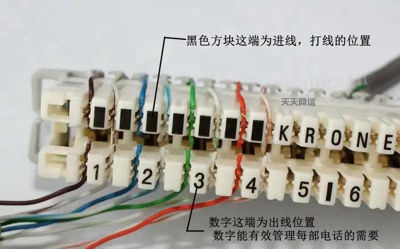 100对科龙模块电话配线架200芯vdf100回语音配线架10对模块科隆条 60