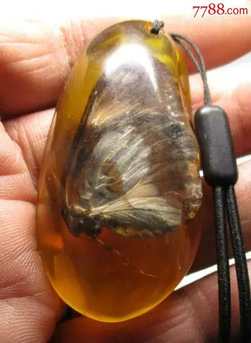 美品;蝴蝶琥珀.挂件