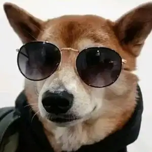 单身狗的主页 - 抖音