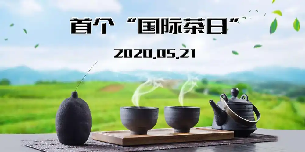 义乌茶文化研究会喜迎首个"国际茶日" - 美篇