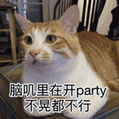 不晃都不行(猫咪摇头晃脑 gif)_猫咪_脑叽里_不晃_gif_party表情