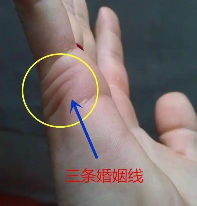 手相有离婚线的人婚姻幸福吗有离婚线一定会离婚么0202