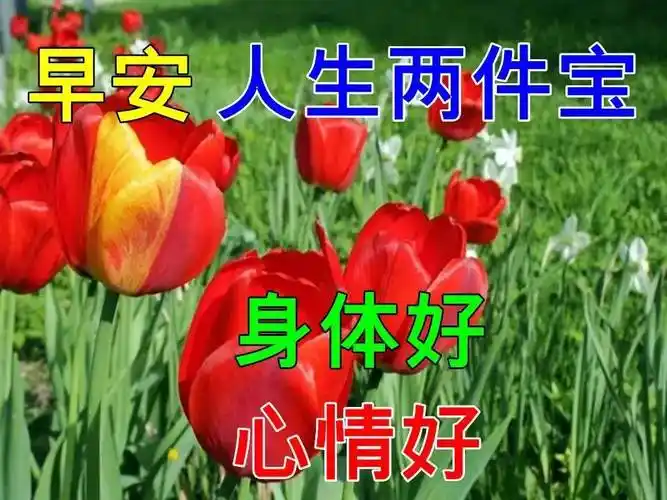 8张漂亮好看的早上好动态美图鲜花带字,早晨好幸福暖心的问候表情图片