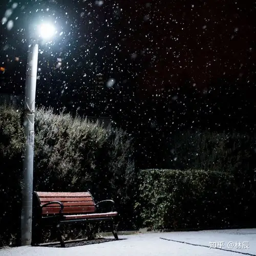 2021 北京的第一场雪,你拍下了哪些雪景?