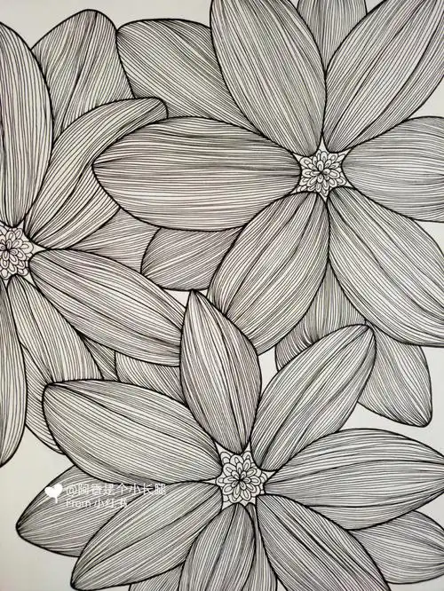 临摹线条画装饰画附带过程