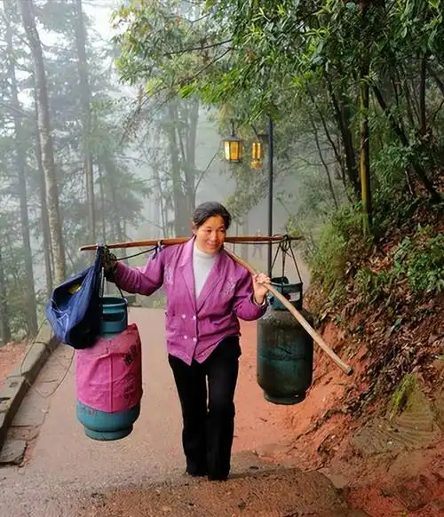 讲述的是一位女挑夫的励志故事,她用自己的双肩挑起了整个家庭的重担
