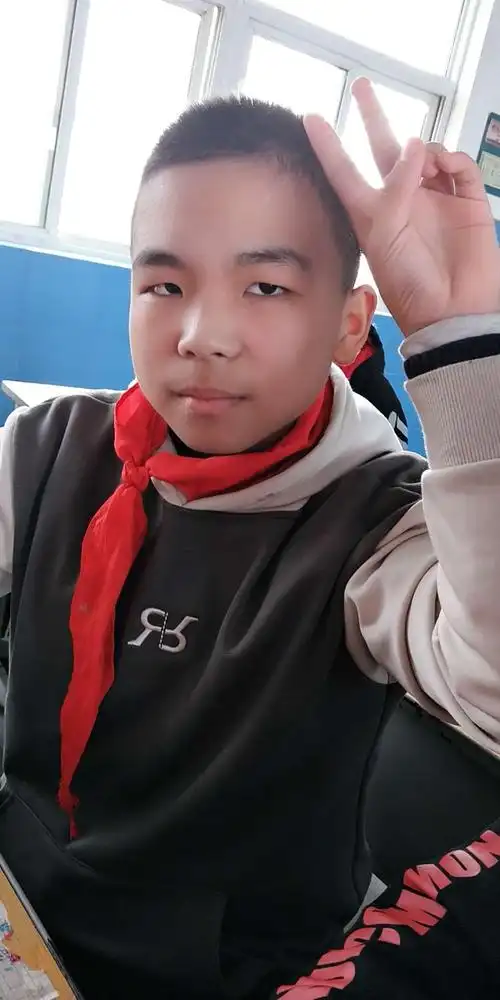 臧石小学六年级