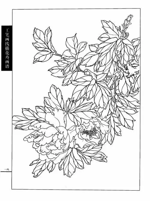 工笔画线描花卉画谱:牡丹篇 工笔画技法:工笔画常见问题50问