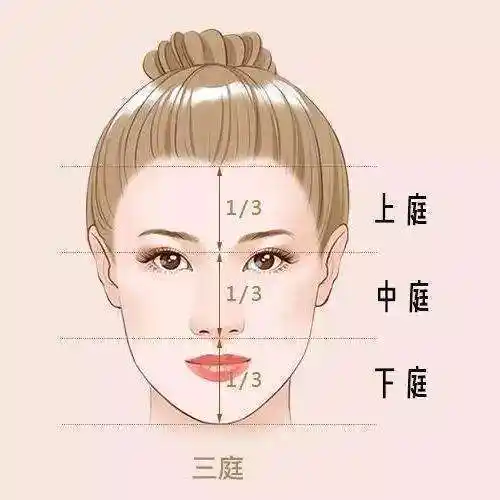 女人面善心里一定善良|面相|天庭|地阁|上庭|下庭_网易订阅