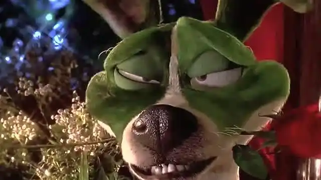 变相怪杰2:怪不得你这狗要偷戴面具,原来是看上人家小母狗了啊