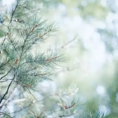 简单唯美小清新风景头像最新