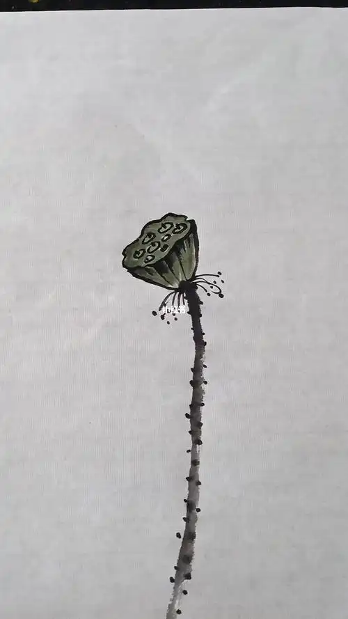 国画 #写意 #莲蓬的画法 #寻找小红书绘画大神