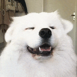 斗图必备表情包i哦哟了不起了不起