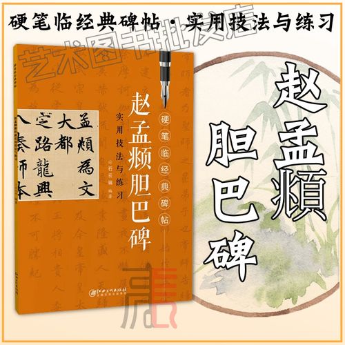 硬笔临经典碑帖【赵孟頫胆巴碑】初学者入门成人学生硬笔书法汉隶隶书