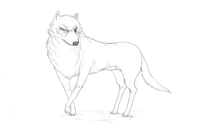 alucard的相册-original illustration