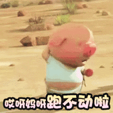 唉呀妈呀 我小猪跑不动啦 - 最新版「小猪快跑」表情包 67_小猪快跑