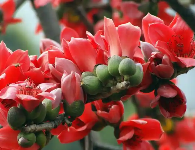 江山多娇三八情韵散文