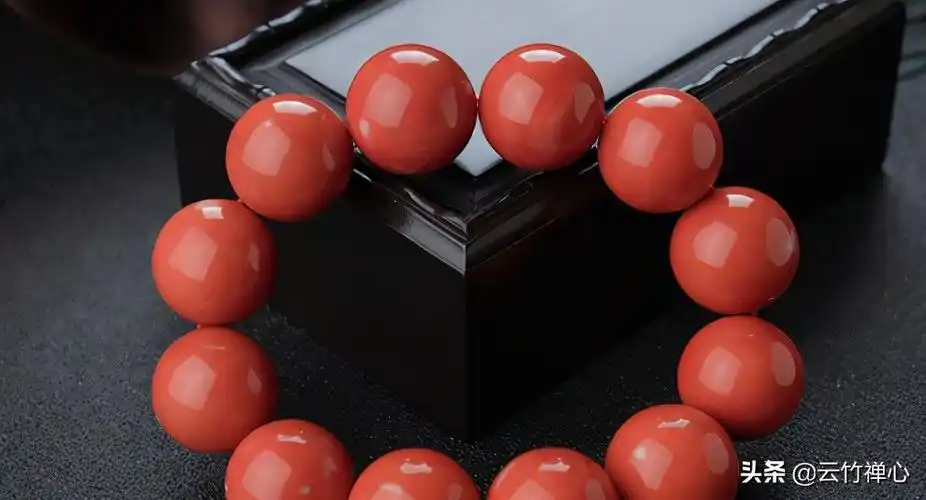 珊瑚是什么天然红珊瑚多少一克