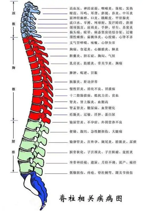 邦健能颈椎治疗仪-腰椎病的治疗仪器-河南邦乐生物科
