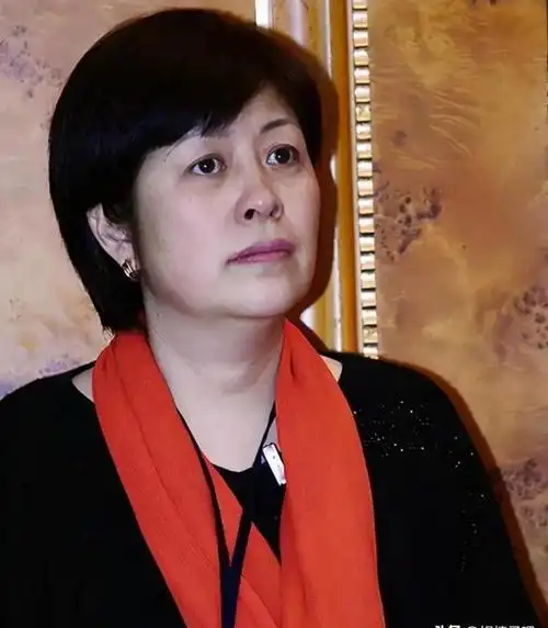 从天之骄子到负债68亿,王中磊的失败是吃了"女明星"的亏?