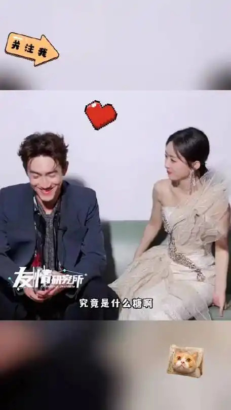 赵丽颖|林更新|大锤_新浪新闻