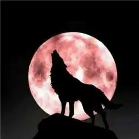 血狼头像图片大全霸气最凶的血狼头像