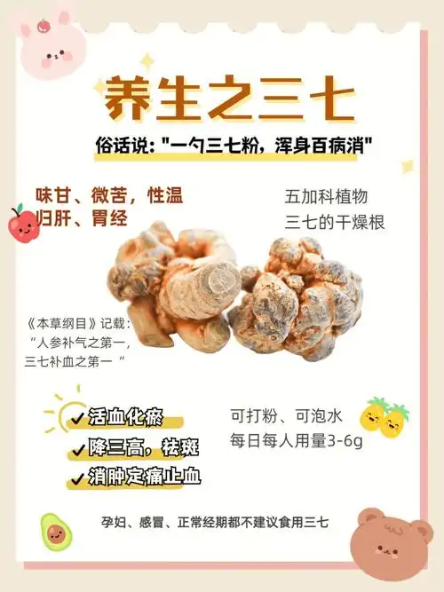 养生之三七的妙用