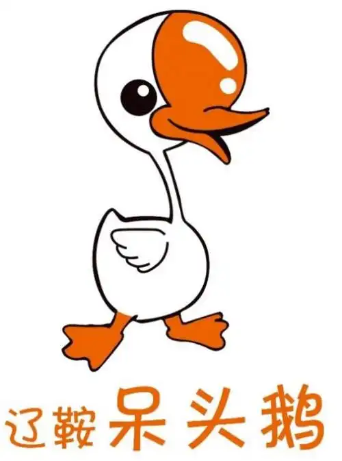 呆头鹅助力乡村振兴养鹅致富的带头鹅访辽鞍呆头鹅联盟