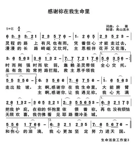 感谢你在我生命里 - 张薇原创歌谱_弦外飞音歌谱网 诗歌下载五线谱