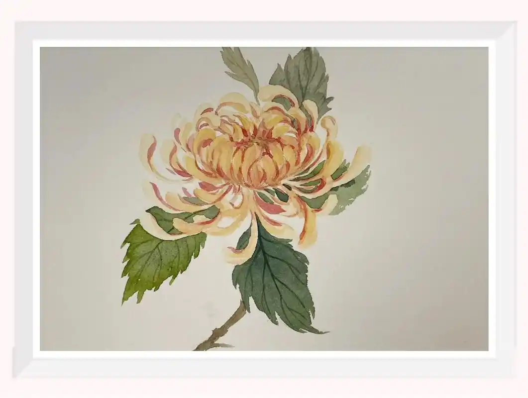 重阳节的菊花95#水彩花卉 #画画96 #绘画过程 #手绘  - 抖音