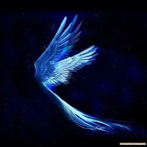 我有一双隐形的翅膀